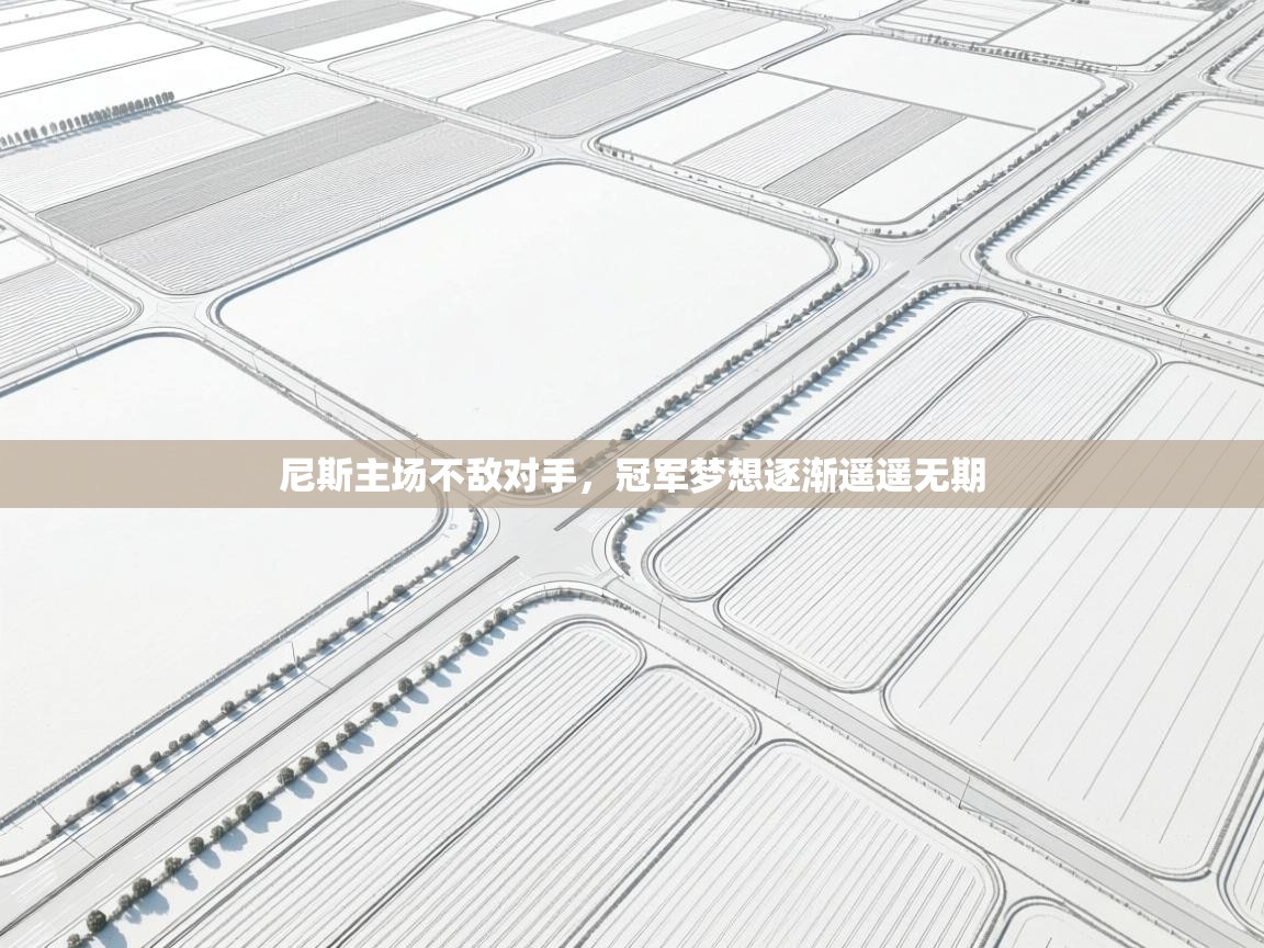 尼斯主场不敌对手,冠军梦想逐渐遥遥无期 第1张