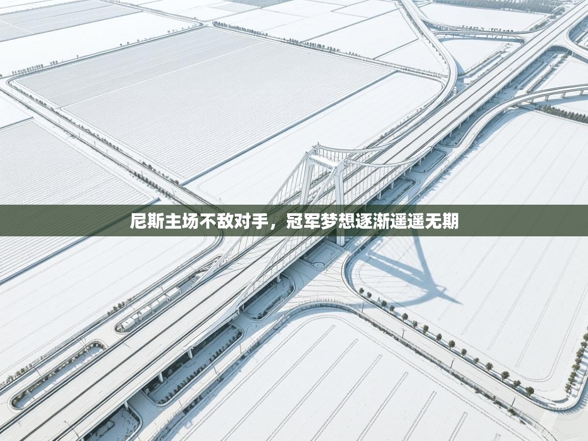 尼斯主场不敌对手,冠军梦想逐渐遥遥无期 第2张